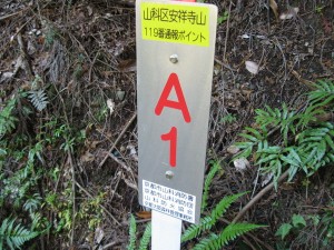 119番通報ポイント