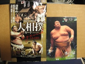 2013 BBM 大相撲レジェンド