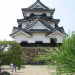 彦根もいてきた