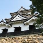 彦根もいてきた