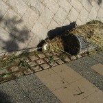 大雨特別警報発令す