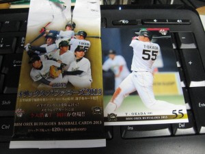 2013 オリックスバファローズ