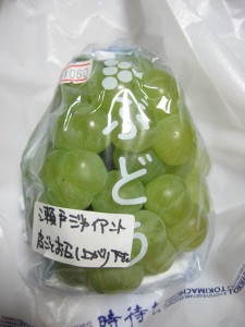 おはモニ：瀬戸ジャイアンツ