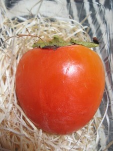 江戸柿（甲州百目）
