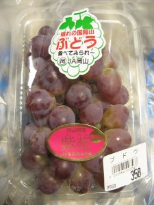 おはモニ：紫苑