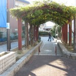 みか散歩：平野よいとこ