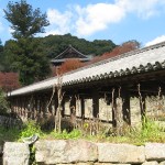 秋の残骸