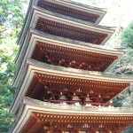 秋の残骸