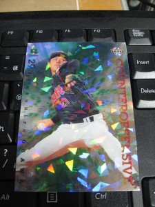2014 BBM東京ヤクルトスワローズ