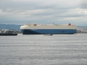 MARGUERITE ACE
