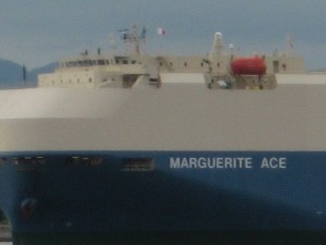 MARGUERITE ACE
