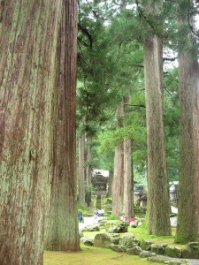 福井いてきた