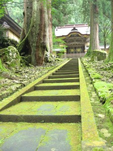 福井いてきた