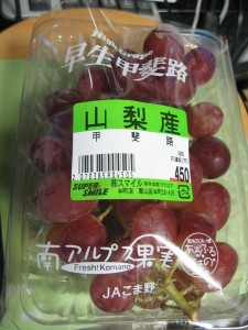 おはモニ：早生甲斐路