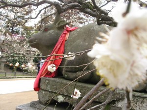 うしうめ