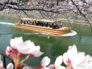 sakura150330_01
