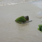 台風11号豪雨による鴨川氾濫