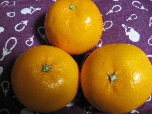 おはモニ：はれひめ