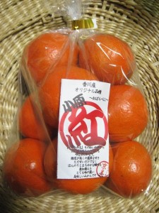 おはモニ：小原紅早生みかん