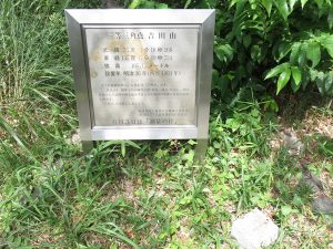 初山の日