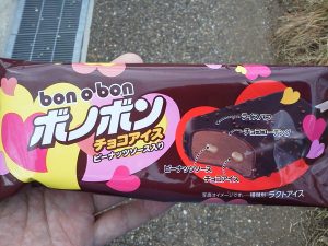 ボノボンチョコアイス