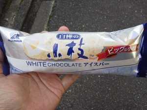 白樺の小枝