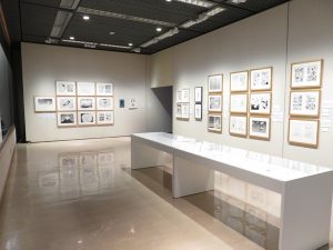 回転展