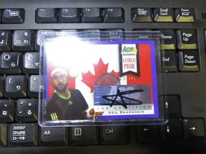 2013 Leaf Ace Authentic Grand Slam