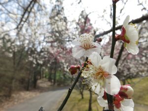 春休み終わり
