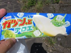 ガツンとアロエ