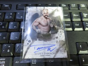 2018 Topps WWE Undisputed