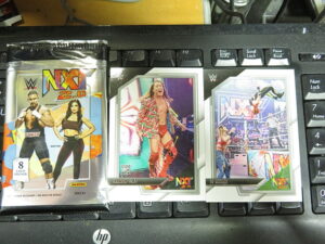 2022 WWE Panini NXT