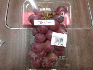おはモニ：コトピー