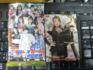 2023 BBM 女子プロレスカード