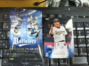 2024 BBM オリックス・バファローズ