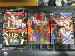 2024 WWE Panini Select