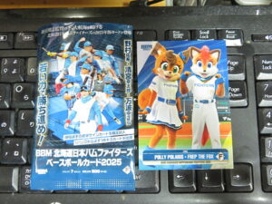 2025 BBM 北海道日本ハムファイターズ