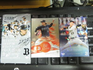 2025 BBM オリックスバファローズ