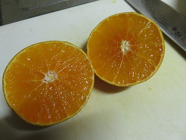 おはモニ:あいか